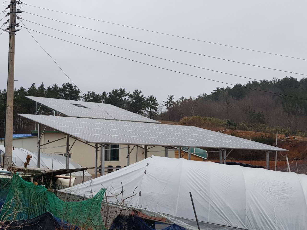 풍성한1.jpg